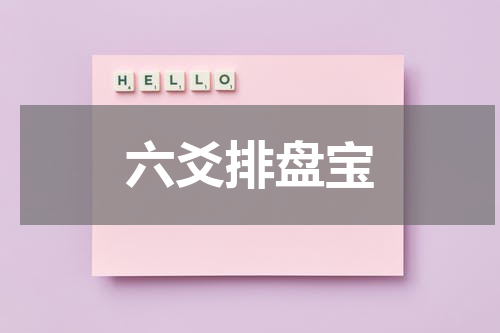 六爻排盘宝