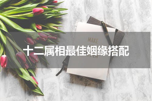 十二属相最佳姻缘搭配