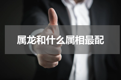 属龙和什么属相最配