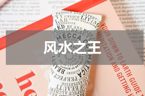 风水之王