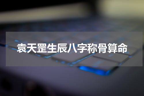 袁天罡生辰八字称骨算命