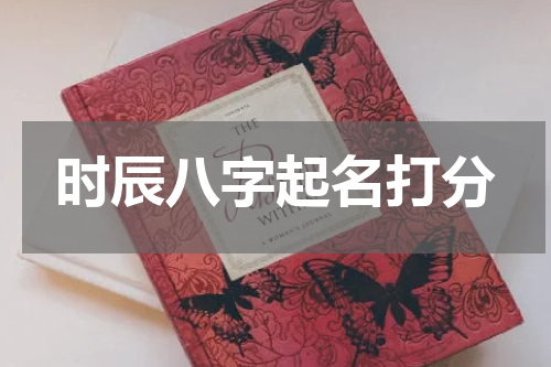 时辰八字起名打分