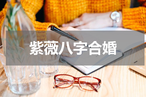 紫薇八字合婚