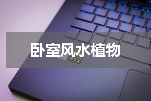 卧室风水植物