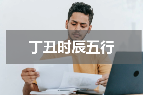 丁丑时辰五行