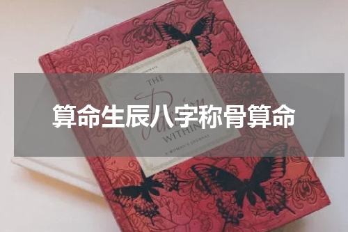 算命生辰八字称骨算命