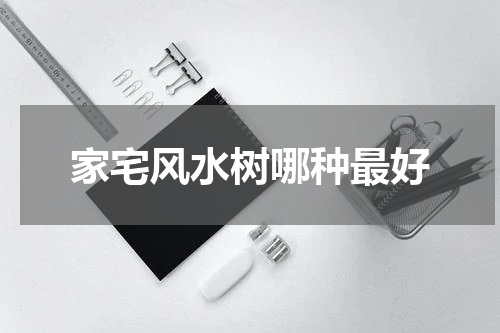 家宅风水树哪种最好