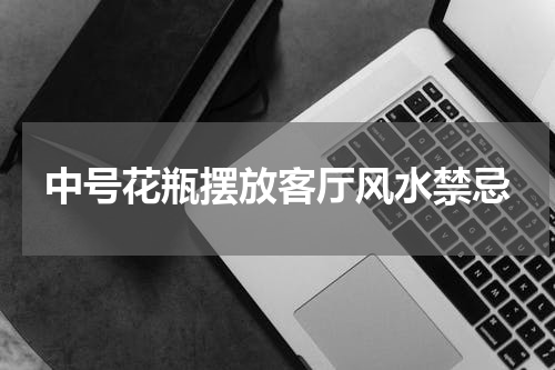 中号花瓶摆放客厅风水禁忌