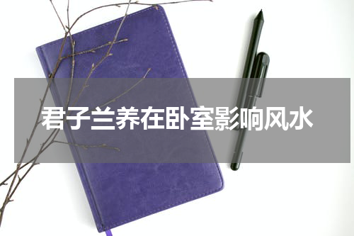 君子兰养在卧室影响风水