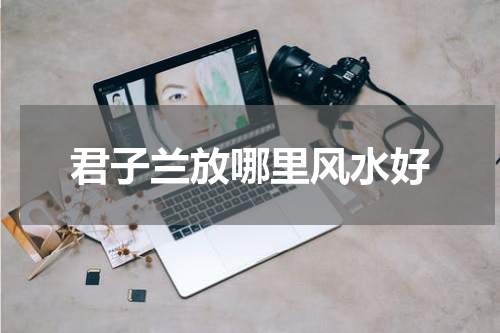 君子兰放哪里风水好