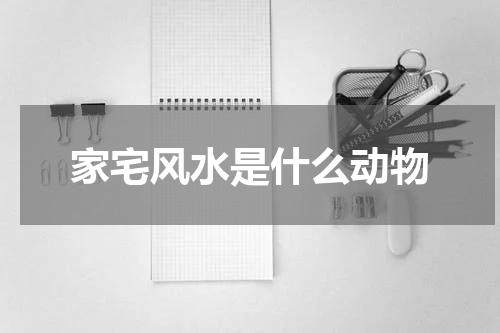 家宅风水是什么动物