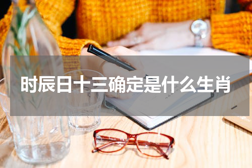 时辰日十三确定是什么生肖