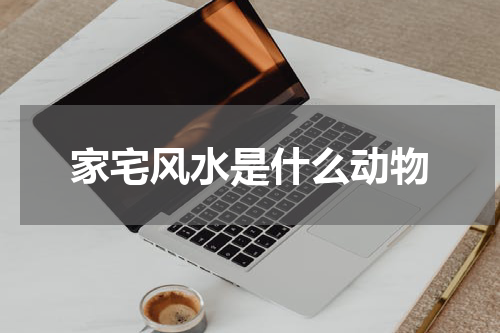 家宅风水是什么动物