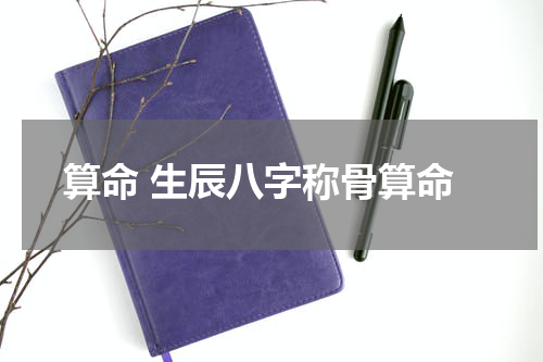 算命 生辰八字称骨算命