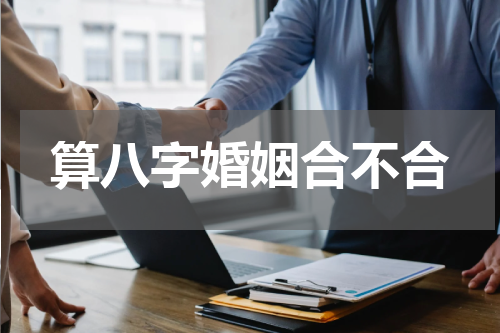 算八字婚姻合不合