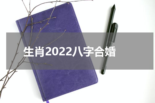生肖2022八字合婚