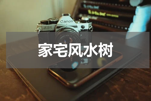 家宅风水树