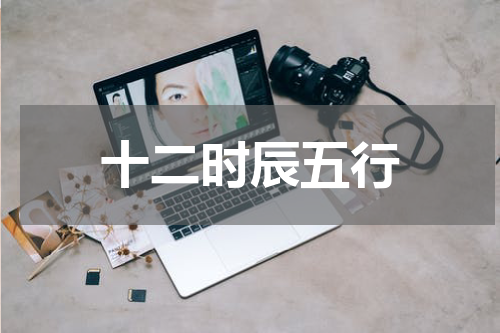 十二时辰五行