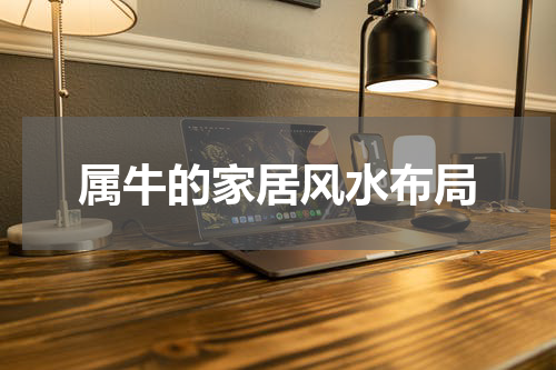 属牛的家居风水布局