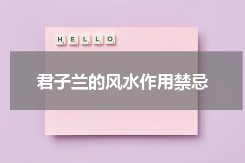 君子兰的风水作用禁忌
