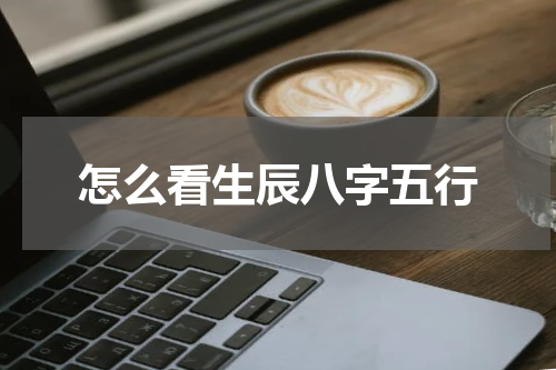 怎么看生辰八字五行