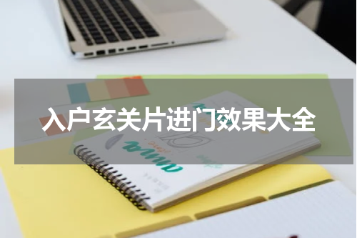入户玄关片进门效果大全