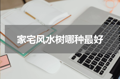 家宅风水树哪种最好