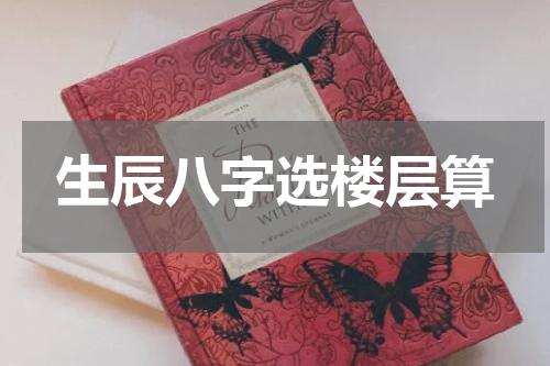 生辰八字选楼层算