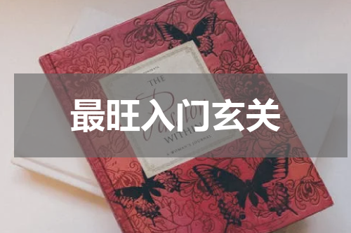 最旺入门玄关