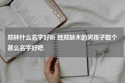 郑林什么名字好听 姓郑缺木的男孩子取个甚么名字好吧
