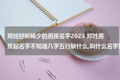 郑姓好听稀少的男孩名字2023 郑姓男孩起名字不知道八字五行缺什么,叫什么名字好，请高人指点万分感谢!