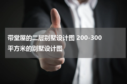 带堂屋的二层别墅设计图 200-300平方米的别墅设计图