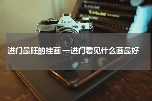 进门最旺的挂画 一进门看见什么画最好