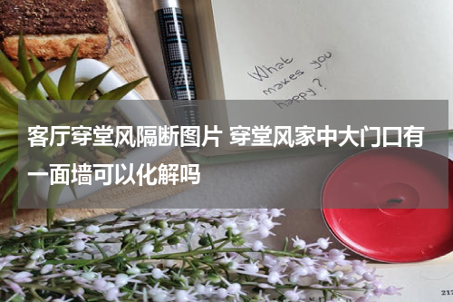 客厅穿堂风隔断图片 穿堂风家中大门口有一面墙可以化解吗