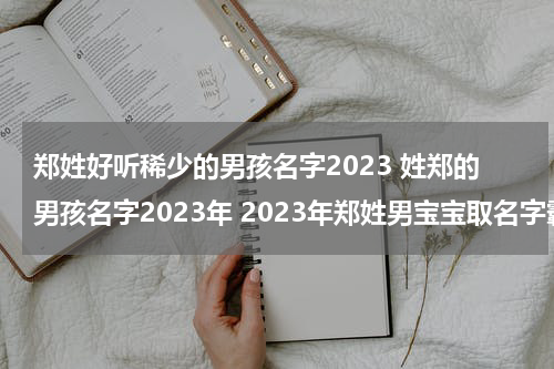 郑姓好听稀少的男孩名字2023 姓郑的男孩名字2023年 2023年郑姓男宝宝取名字霸气