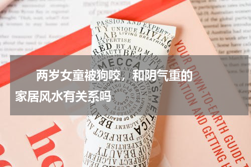       两岁女童被狗咬，和阴气重的家居风水有关系吗    