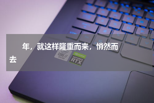       年，就这样隆重而来，悄然而去    