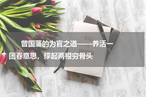       曾国藩的为官之道——养活一团春意思，撑起两根穷骨头    