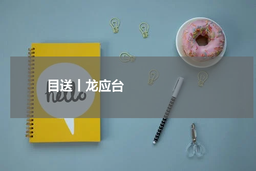       目送丨龙应台    