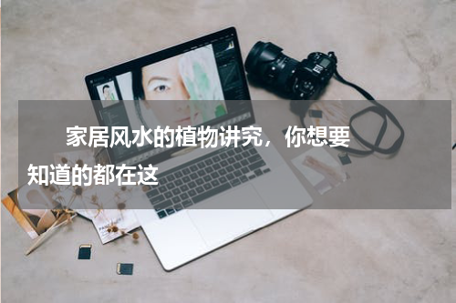       家居风水的植物讲究，你想要知道的都在这    