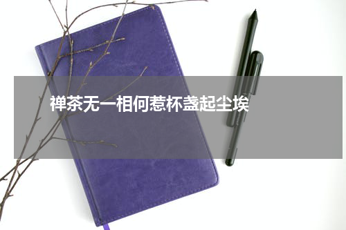       禅茶无一相何惹杯盏起尘埃    