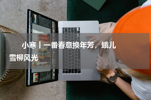       小寒丨一番春意换年芳，蛾儿雪柳风光    