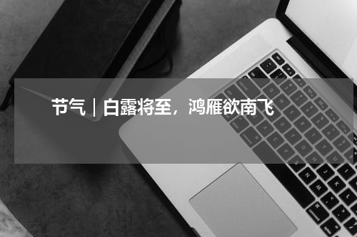       节气｜白露将至，鸿雁欲南飞    