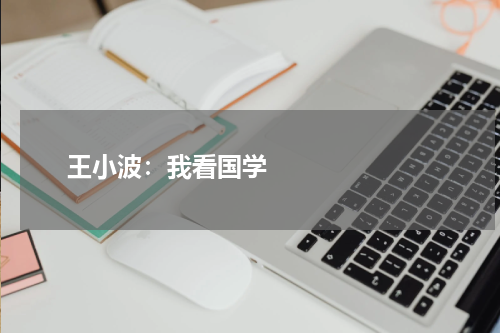       王小波：我看国学    