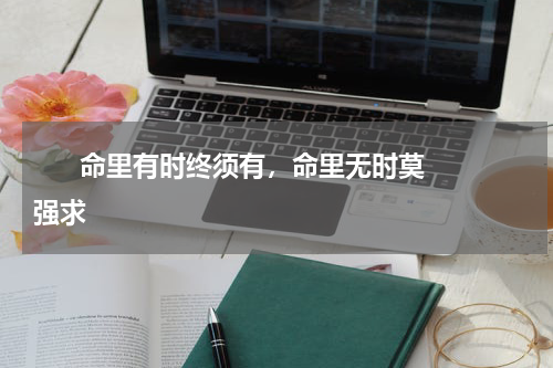       命里有时终须有，命里无时莫强求    