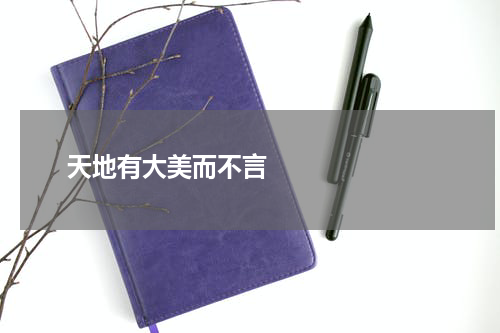       天地有大美而不言    