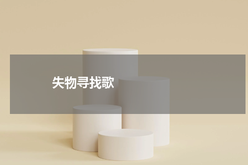       失物寻找歌    