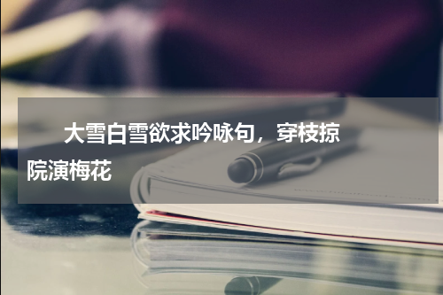       大雪白雪欲求吟咏句，穿枝掠院演梅花    