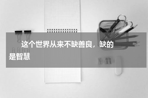       这个世界从来不缺善良，缺的是智慧    