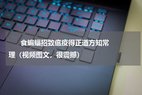      食蝙蝠招致瘟疫得正道方知常理（视频图文，很震撼）    